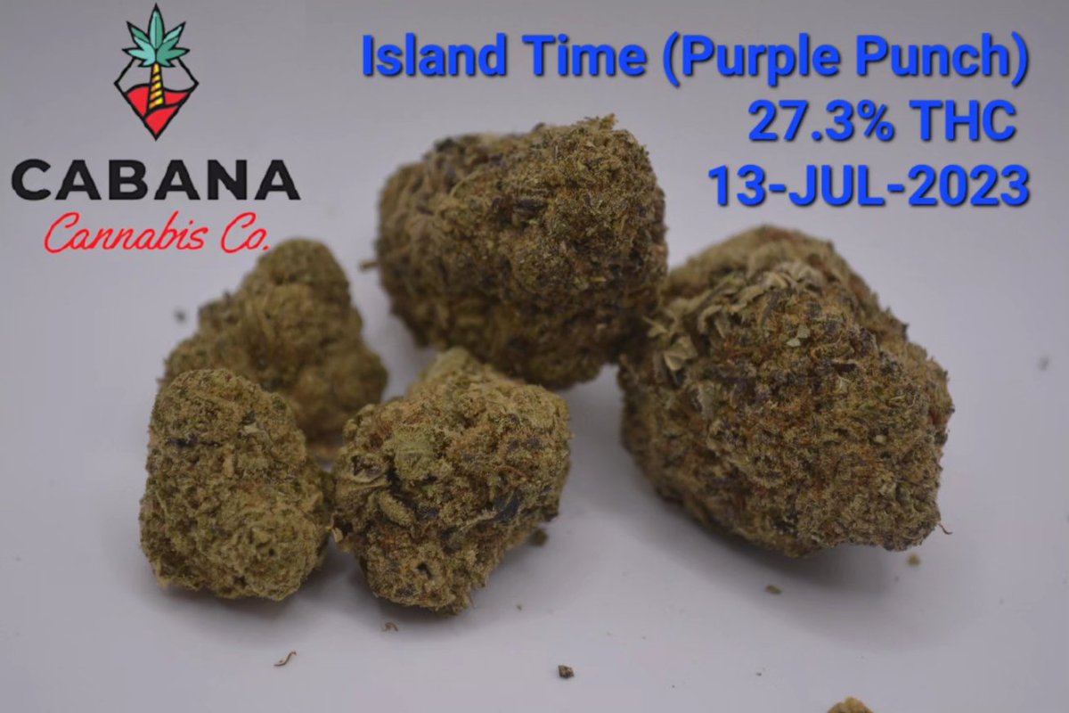 _Kodise_'s tweet photo. When I saw Cabana Co dropped a 7 grown
by JWC A.K.A Wagners, I had to buy, with super fresh
nugs packages less than 2 weeks ago!! And it was exactly
what I expected for purple punch very similar to The table
top one with a smooth, not to gassy taste with a good
indica high #420 https://t.co/3jUqQU5NI2