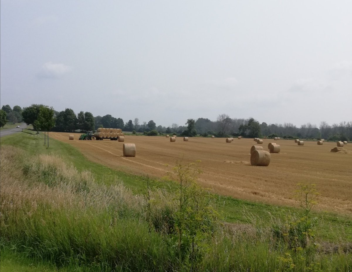 Country roads...thank you #ontariofarmers #hayseason