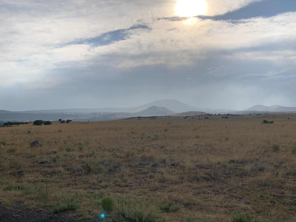 drsambalk's tweet photo. Thick smoke building on Hwy 260 just east of Greer. Be wary of reduced visibility. #azwx @NWSFlagstaff https://t.co/YLAHk0PQvv