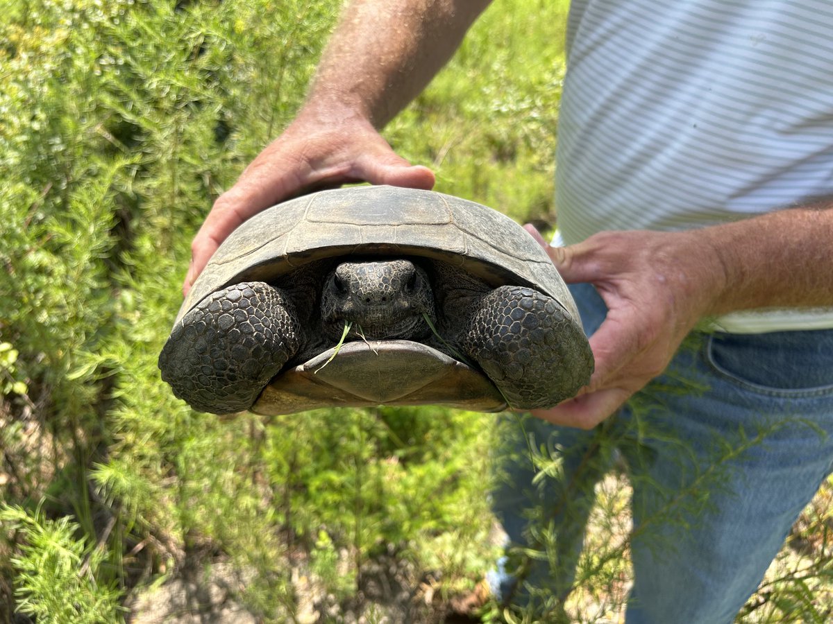 Seth W. Bigelow, Ph.D. tweet media