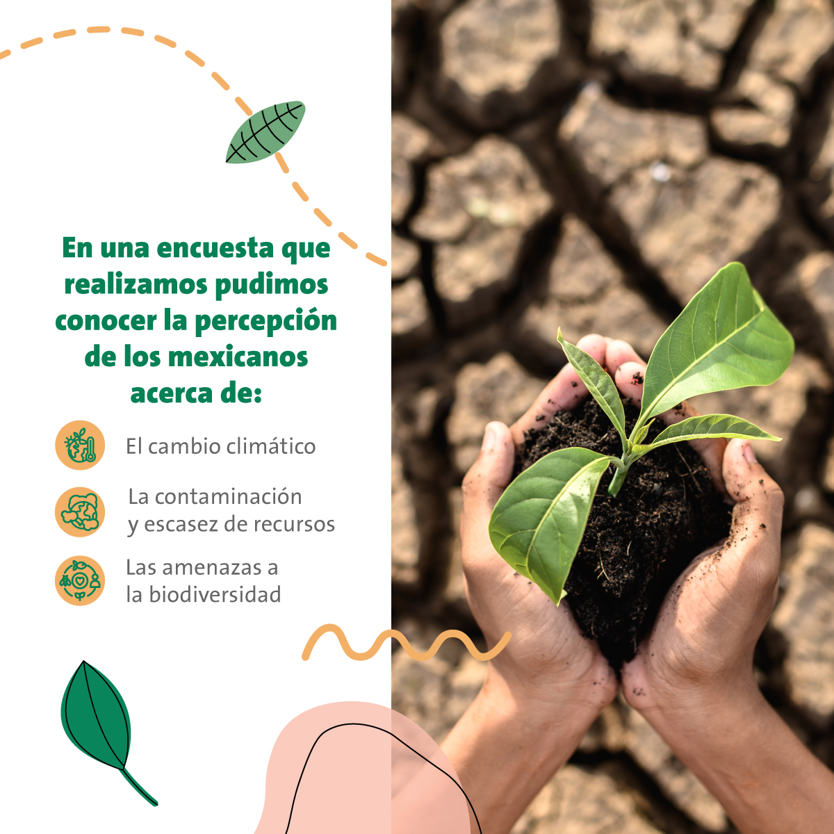 A_PENVERNE's tweet photo. Lo más importante para lograr un cambio en el 🌎, es tener la disposición de hacerlo. Es grato saber que cada vez más mexicanos persiguen un futuro ecológico. 🌱 https://t.co/MfGPNjPtkn