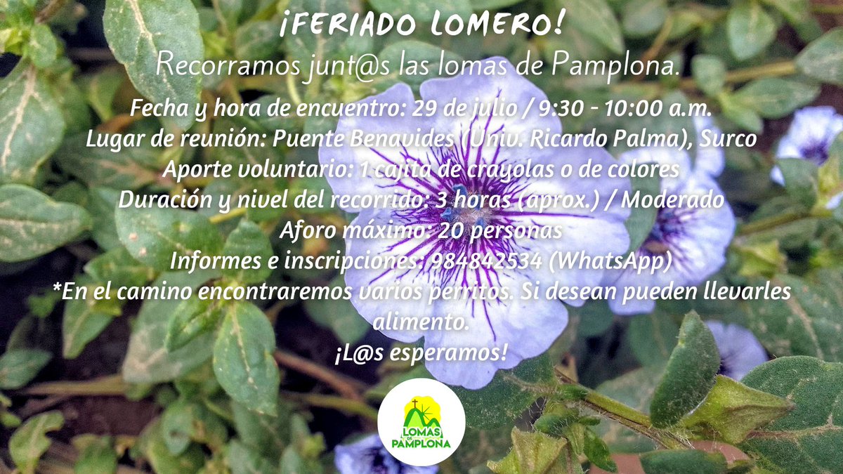 Hacemos extensa la invitación a nuestro recorrido por las #LomasDePamplona y así conocer parte del maravilloso #EspectáculoDeVida presente en San Juan de Miraflores.

La cita es este SÁBADO 29.

Informes e inscripciones: 984842534 (WhatsApp) 📲 

¡Nos vemos! 😃