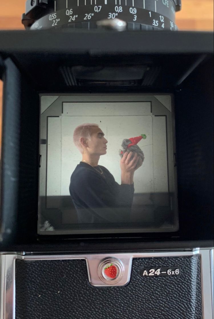 evan mock archive tweet media