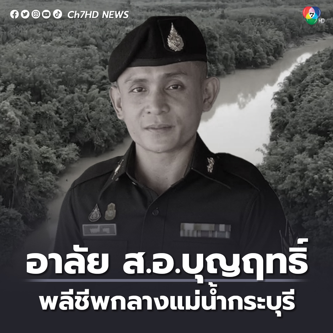 Ch7HD tweet media