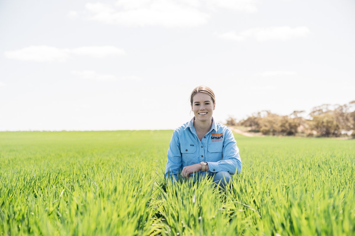 For 10 years, WeedSmart has been delivering solution-driven integrated weed management messages to growers to grow more crop and fewer weeds 🌾 

In this <a href="/theGRDC/">GRDC</a> podcast, WeedSmart's <a href="/janadixon_/">Jana Freebairn</a> and <a href="/grassrootsag/">Grassroots Agronomy</a> reflect on the evolution of the Big 6 🎧 buff.ly/3pWKawg