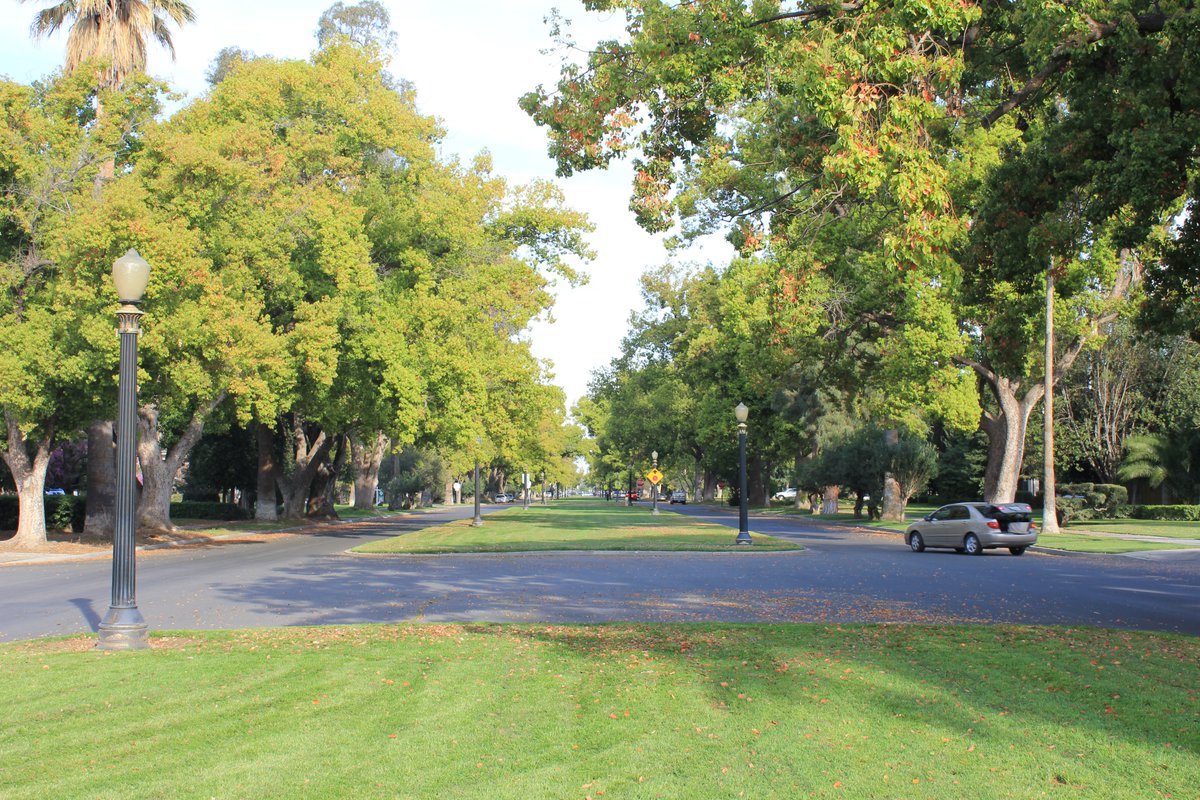 Dan Zack tweet media