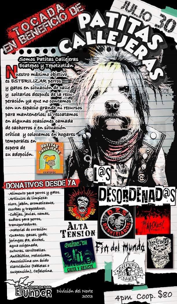 El Real Under (@el_under_club) on Twitter photo 