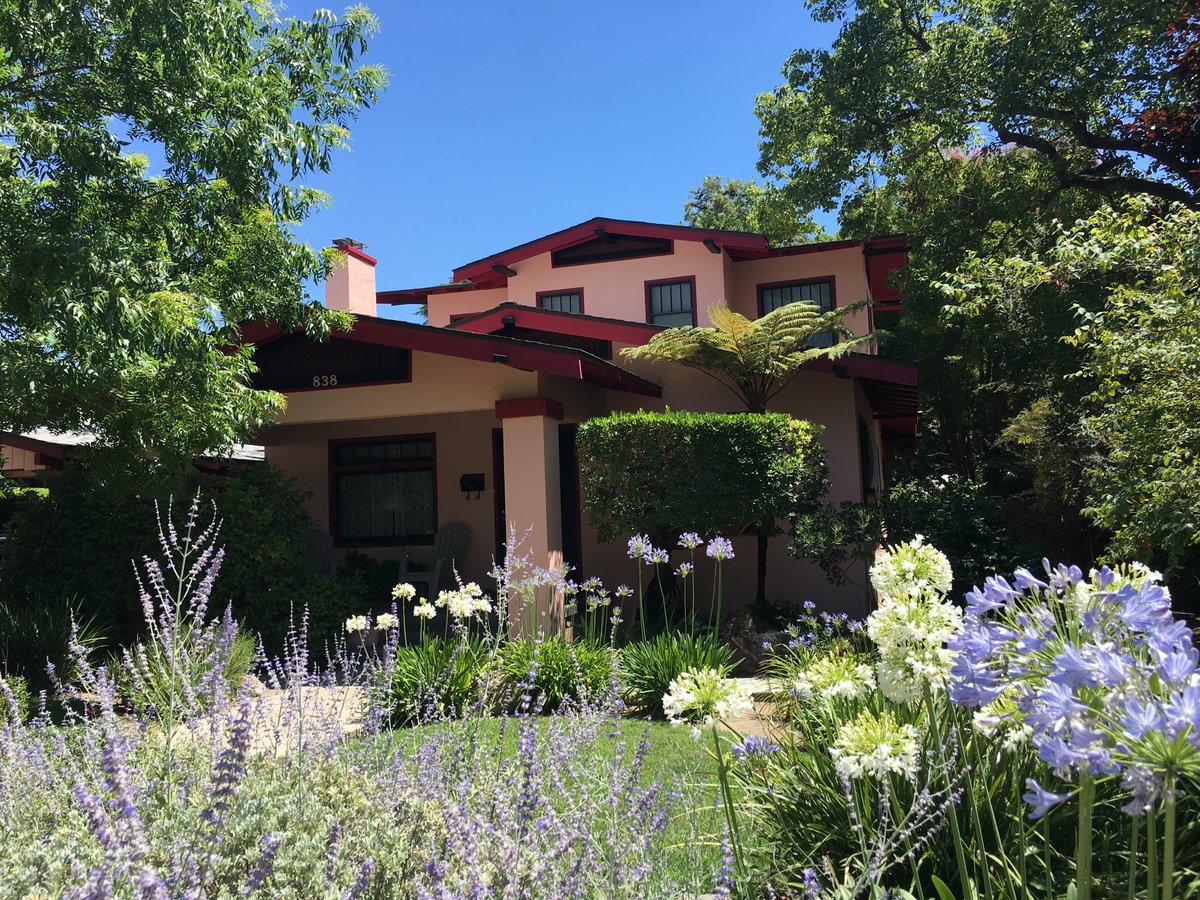 Dan Zack tweet media