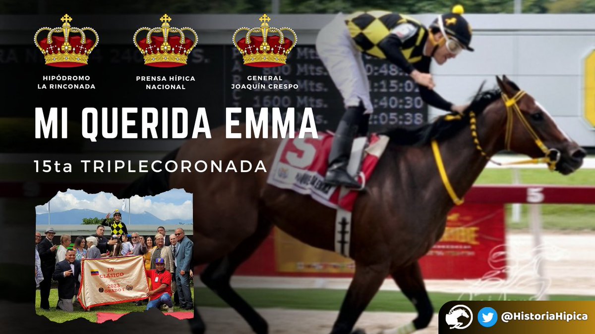 HistoriaHipica's tweet photo. MI QUERIDA EMMA 15ta TRIPLECORONADA DEL HIPISMO NACIONAL 👑🏇🏻
Se coronó en la Tríada de yeguas y escribe su nombre en el libro dorado del Hipismo Venezolano 🇻🇪
Felicidades @LugojrJaime @luismartinf_ @gmarquez_j @harasorlyana #StudMM #Hipismo #LaRinconada https://t.co/hxho3yBhkY