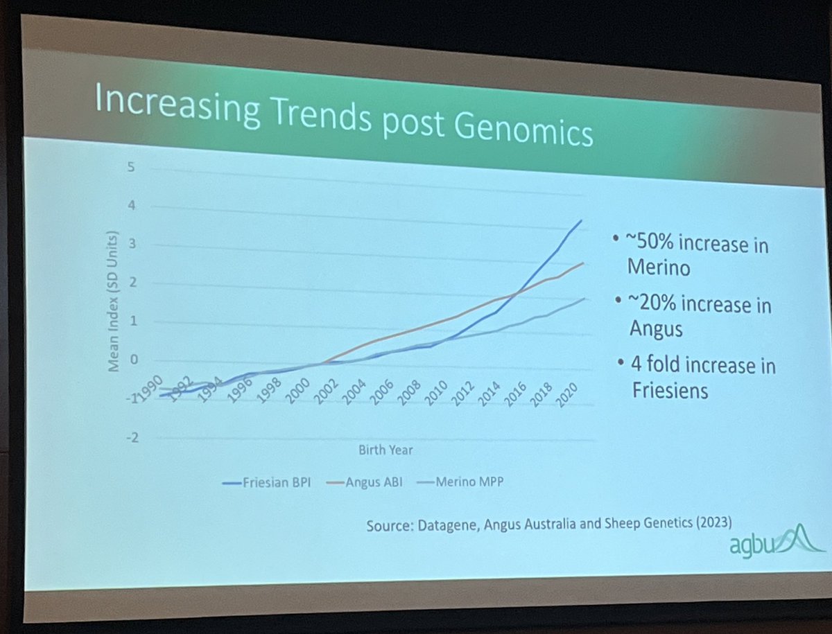 Steve Miller from @AGBU_GENE compares rate of genetic progress in Merino, Angus & Holsteins since commercialisation of genomics @AaabgConf #aaabg2023