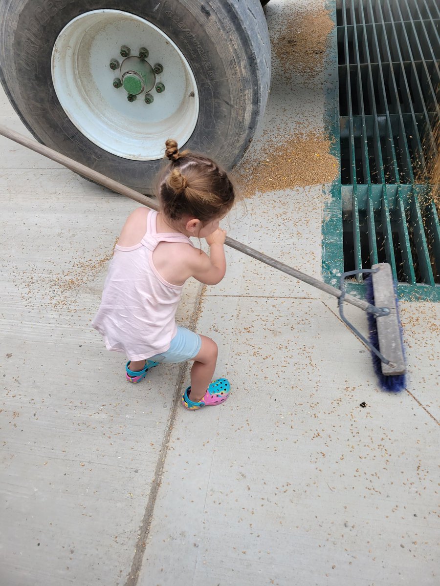 Wheat has started on the Hill! Happy and safe harvest for everyone #harvest23