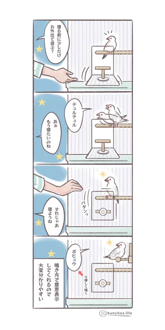 鳴き方で意思表示をしてくれるので分かりやすくて有り難い
#文鳥 
#4コマ漫画 

*過去作ダウンロードできます!(固定ツイート参照) 