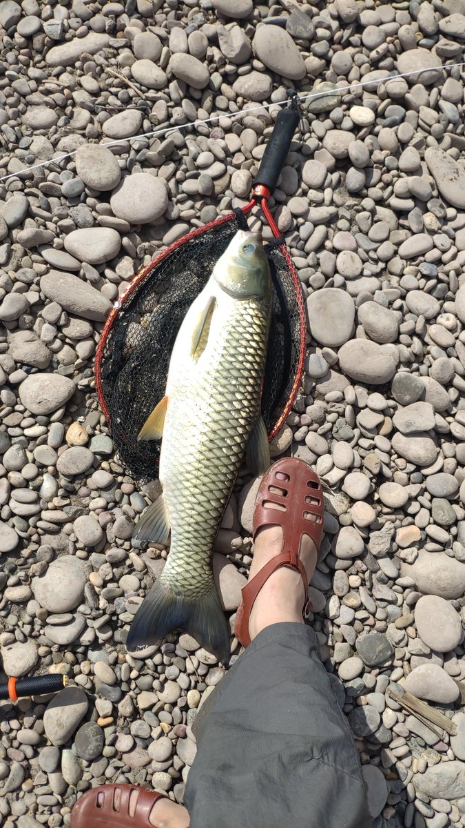 onefisherman2's tweet image. wooooo!