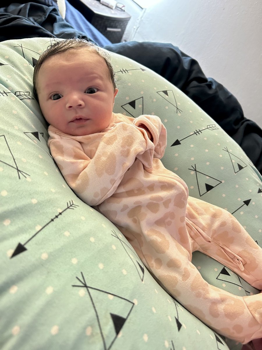 steffweber41's tweet photo. Still pinching myself to make sure I’m not dreaming …my sweet niece Brielle is just perfect 🩷🎀 https://t.co/fNjkz9pkGi
