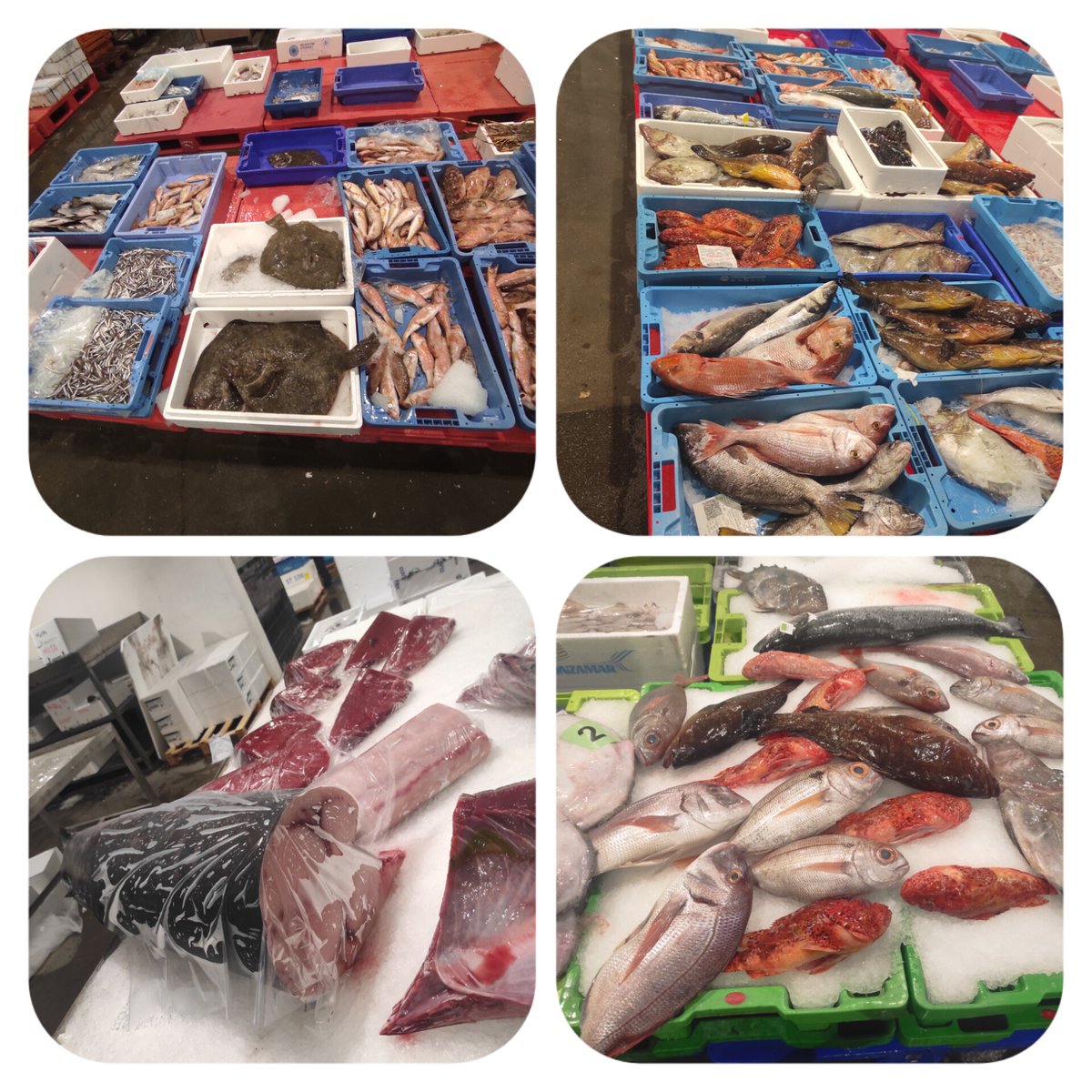 marc_esteve's tweet image. Bon dia !!

Aqui amb el #peix #mercatdelpeix

#menjadorescolar
#comedorescolar