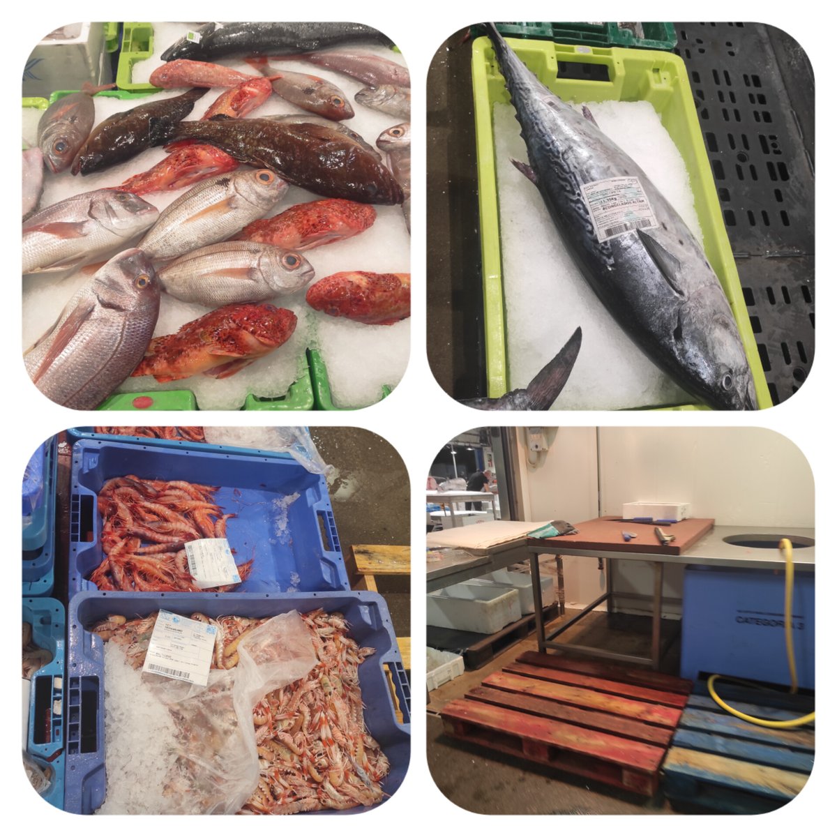 marc_esteve's tweet image. Bon dia !!

Aqui amb el #peix #mercatdelpeix

#menjadorescolar
#comedorescolar