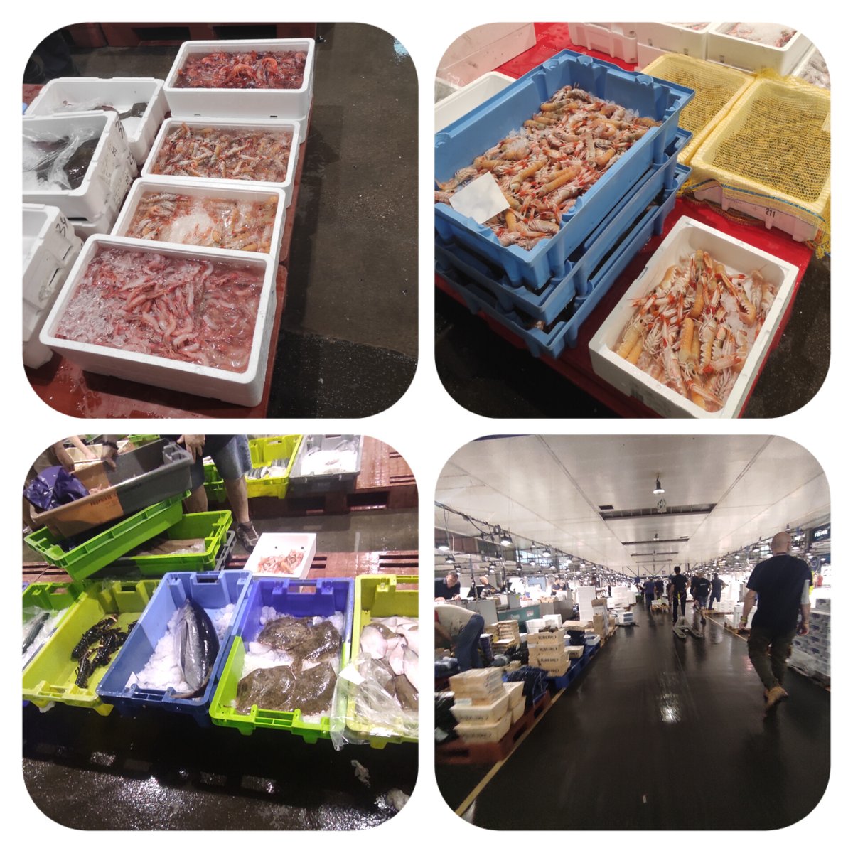 marc_esteve's tweet image. Bon dia !!

Aqui amb el #peix #mercatdelpeix

#menjadorescolar
#comedorescolar