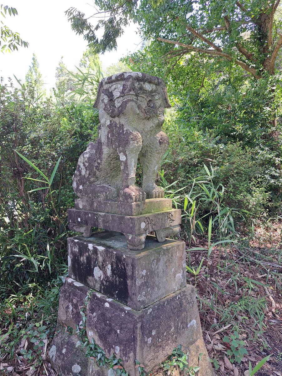 lupinus_y's tweet photo. 川遊びに来たら横に神社があったので参拝☺️ https://t.co/0QgvnRwNiW