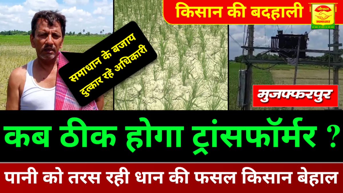ChaupalSamachar's tweet photo. बिहार में किसानों की बदहाली, कृषि कार्य हेतु लगा बिजली ट्रांसफार्मर खराब होने से सूख रही धान की फसल।

Video Link : https://t.co/MRWTy2PO19

सूचनार्थ :
@DM_Muzaffarpur 
@PMOIndia
@NitishKumar 
@yadavtejashwi 
@VijayKrSinhaBih 
@SEVA_NBPDCL 
@Agribih 
@EnergyBihar https://t.co/PpQ5AIJjwv