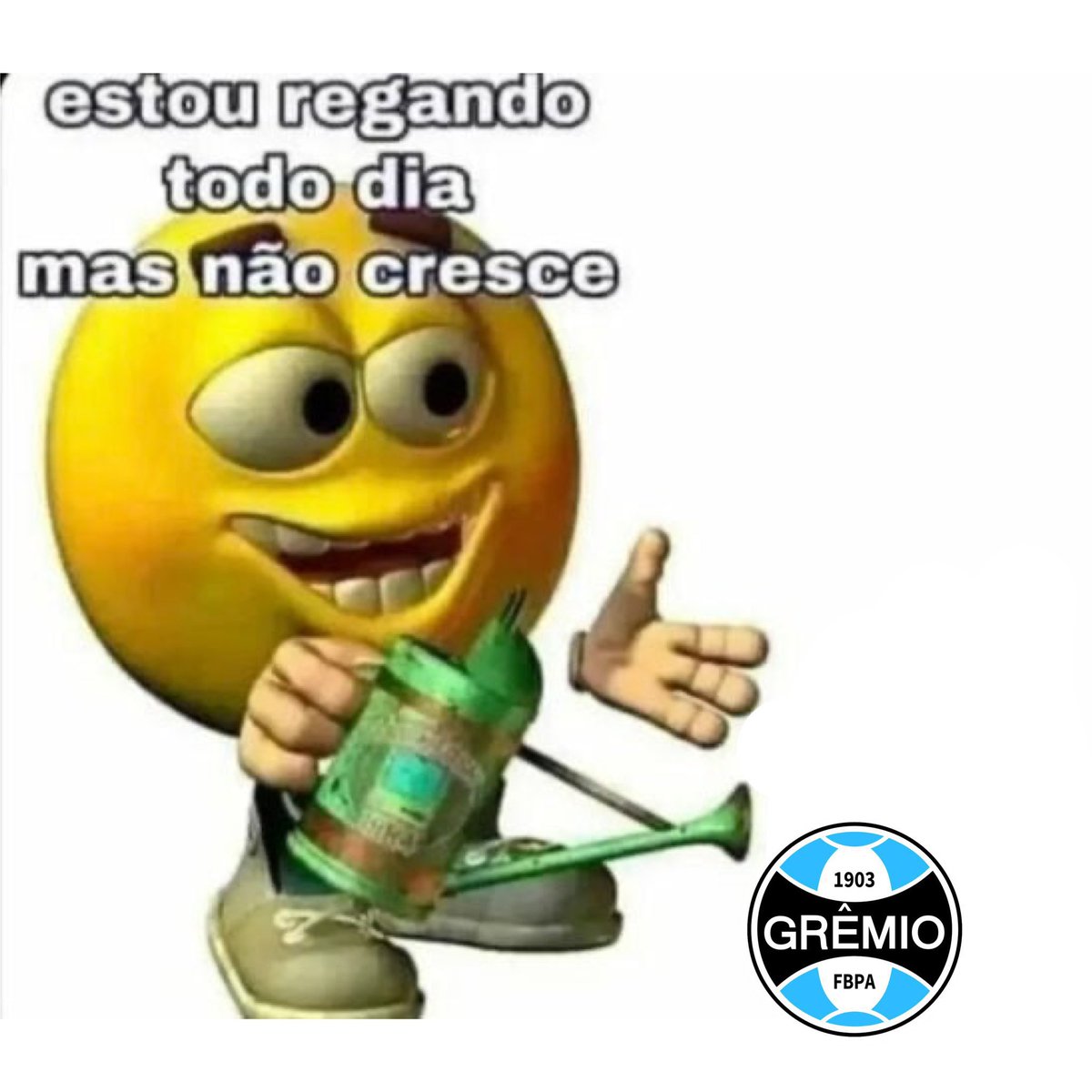 Castanha 🇦🇹 tweet media