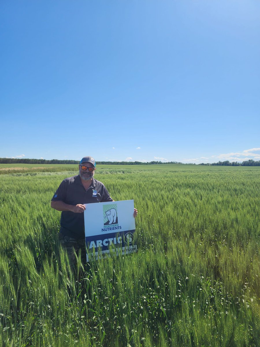 Ross Guenther tweet media