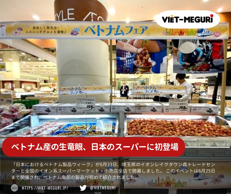 VietMeguri's tweet photo. 📌【ニュース】
📍【ベトナム産の生竜眼（#リュウガン）、日本のスーパーに初登場】

 👉具体的は記事をご参照ください。
https://t.co/uoedkuspwB

👉ベトナムにご興味のある方、ベトナム総合情報サイトViet-Meguriを是非「いいね」を押してくださいませ！
＃VietMeguri #ベトナム産 ＃生竜眼 https://t.co/gTE0Q8onaX