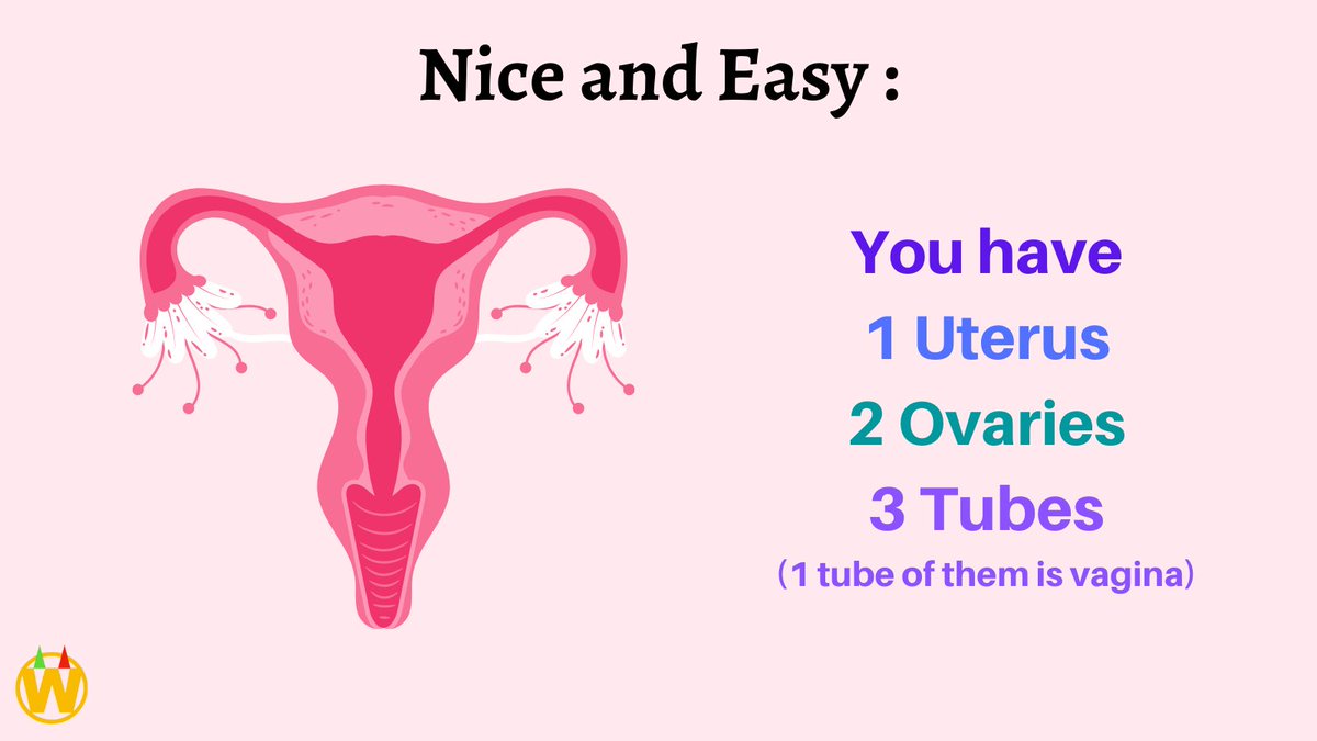 Knowing each organ is SEPARATE, helps you in life. Not everything is 'A Uterus'
Women's health is a taboo, so please do not expect to learn these from পাড়ার আড্ডা 
Do your part- learn and share.  
#winningthepink 
#drmanas 
#gynaecology 
#kolkata