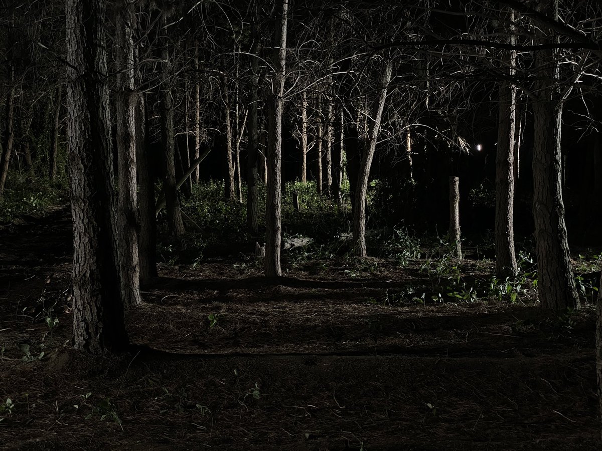 When it’s hot out we look forward to night shoots. Shooting with all <a href="/nanluxamericas/">nanluxamericas</a> fixtures for the whole film.