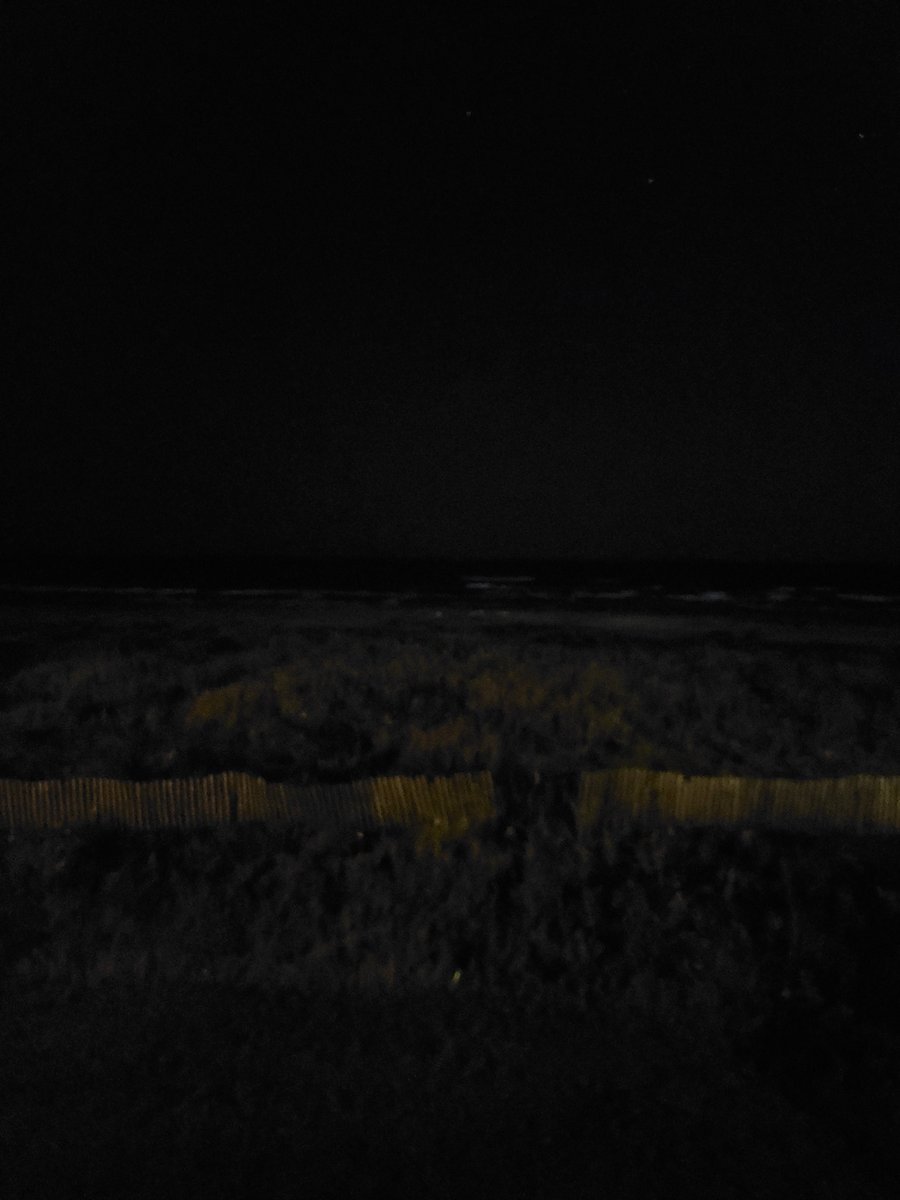 TL4everyoung's tweet image. I love it when Shark Week lines up with the beach vacation.  #setthescene #SharkWeek