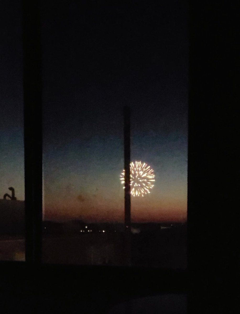 sarahquinnphd's tweet image. Fireworks! #IESSCRD has good timing, lining up with UW Madison&apos;s 175th birthday! 🎆