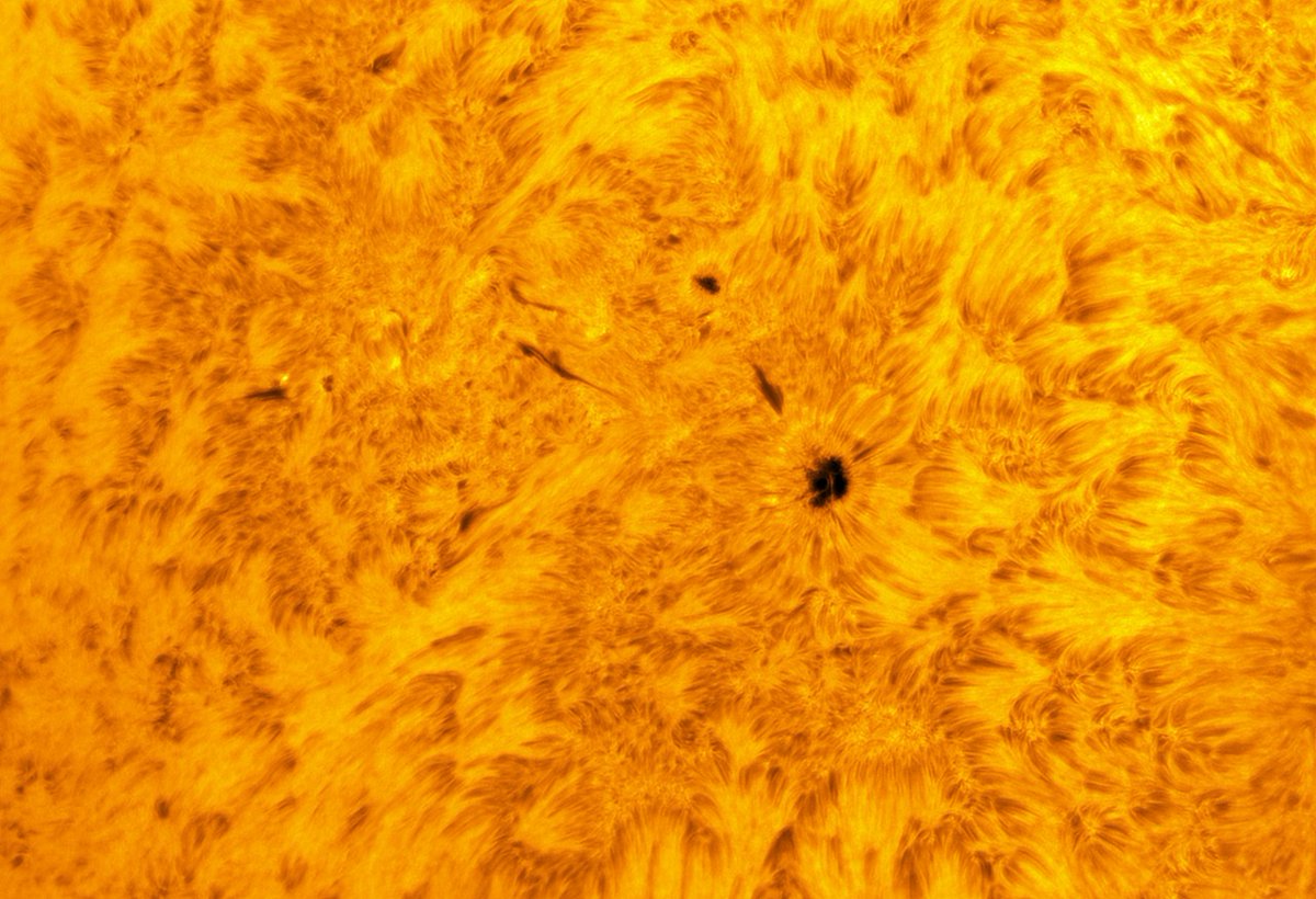 WAS solar astrophotographer Franco Fellah shared two amazing new views of the same active region on the #sun #AR13379. The blue in Calcium H, the other H Alpha from #WestportCT on July 23rd. The calcium was imaged with a 150mm APO refractor and the Ha with a 203mm HT scope.