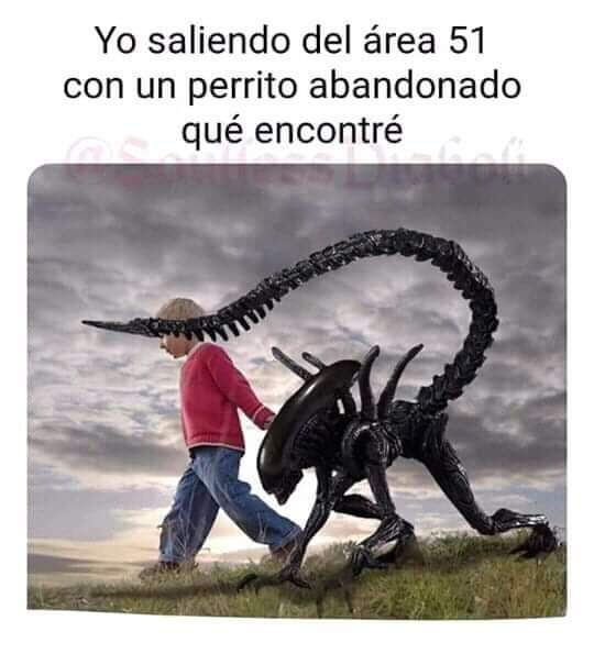 ile0719's tweet photo. Si sucedería 😅 https://t.co/OR18znRGiZ