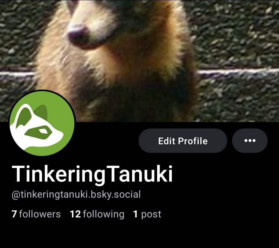 TinkeringTanuki's tweet photo. Will continue to watch this place burn to the ground but anyone interested in staying in touch when it finally craps out: https://t.co/qt6Oy579YA