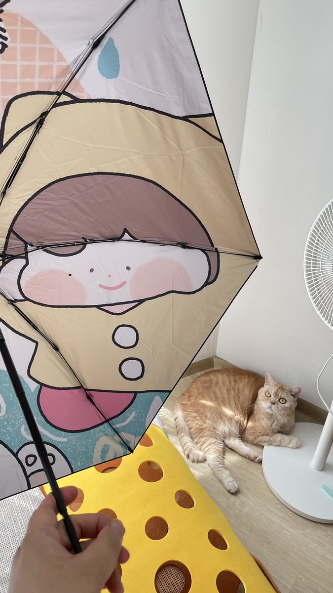 소다님 우산 와써 🥰❤️❤️
넘넘작고 예쁘다ㅋㅋㅋㅋㅋ
<a href="/LikeCat1210/">KDBar_LikeCat</a> 고마와요