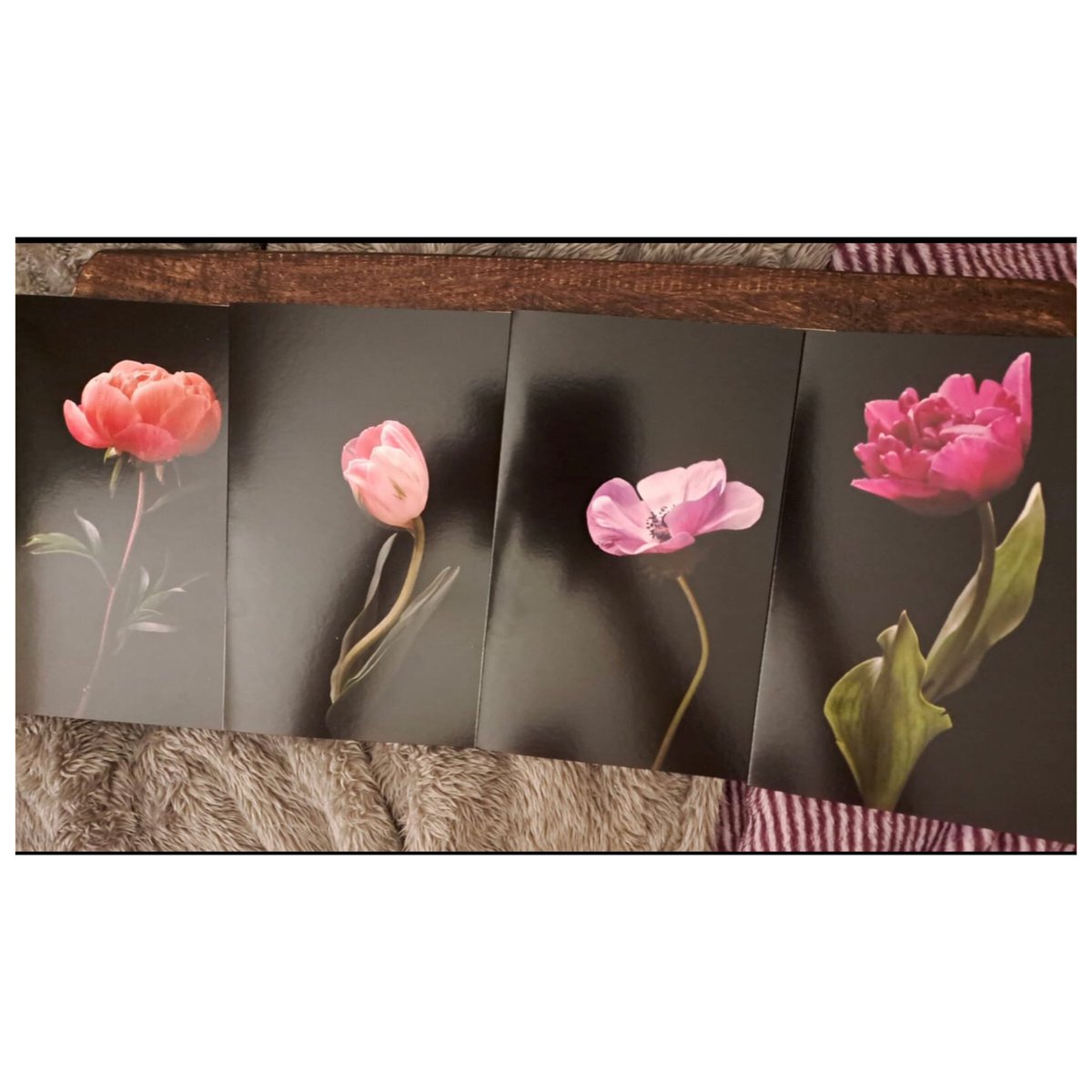 New botanical greeting cards available soon.
I'm looking for more stockists, so do get in touch if you're interested. #independent #shops #galleries #flowerphotography