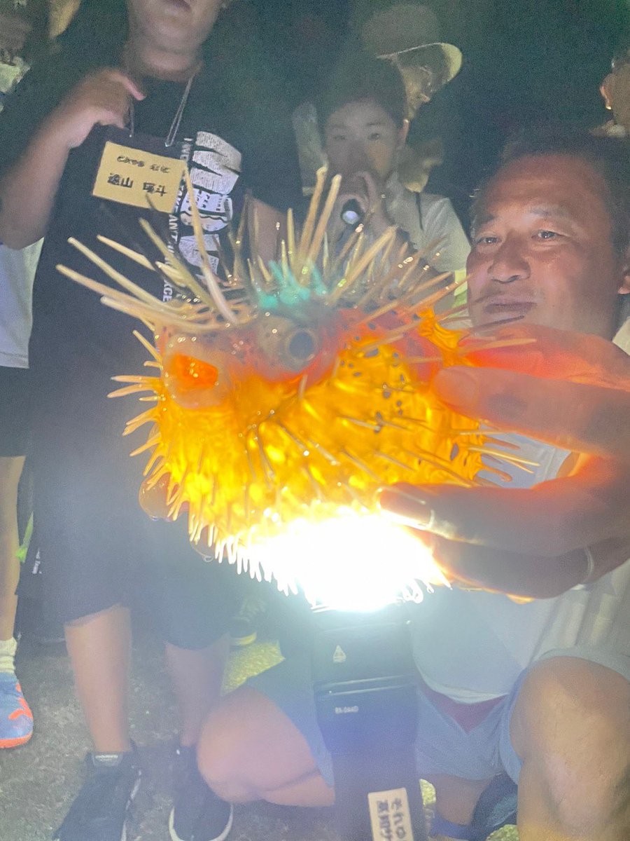 tworice_dai's tweet image. 『それゆけ高知⭐︎サンゴレンジャー』
講師を呼んでみんなで授業をして夜には港へ行って
夜の海の生物観察‼︎
ハリセンボンがいたよ〜😆
#海と日本project #それゆけ高知サンゴレンジャー