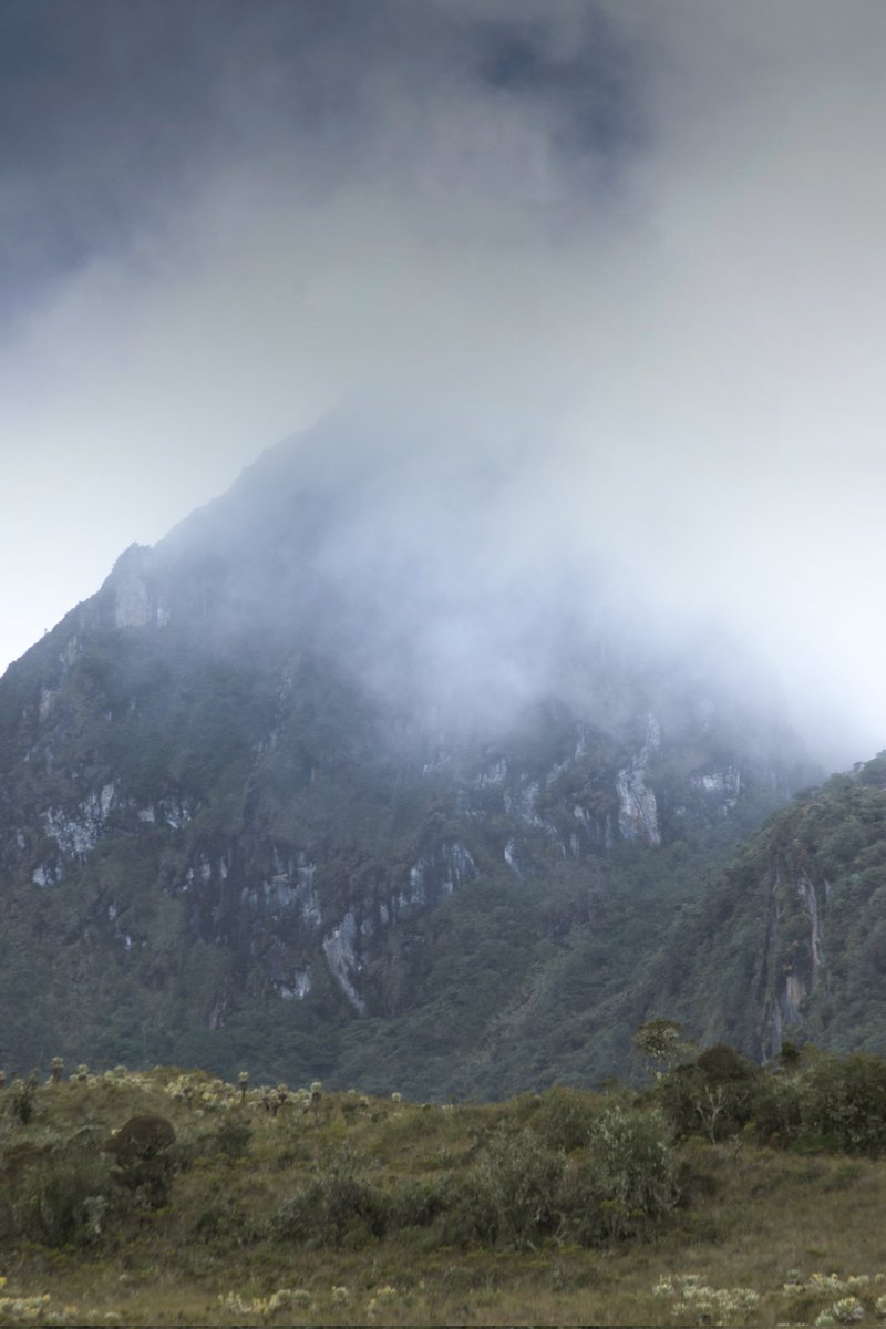 CoRjfer's tweet photo. Uno de los picos de Los Farallones El Quiosco. https://t.co/nXOZCwHr7d