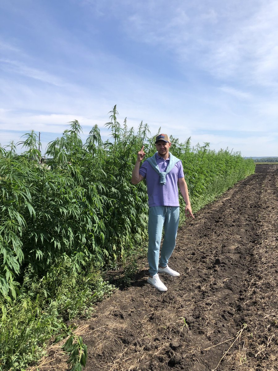 StanislavBirger's tweet photo. GM world! 

Canna tree’s in my land🌱🖤 https://t.co/eLysIvMPcx