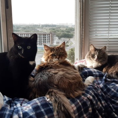 #NewProfilePic
