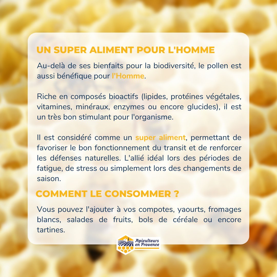#LeSaviezVous

Le pollen se mange, lui aussi !

#pollen #superaliment #histoiredupollen #apiculteursenprovence #miel #apiculture