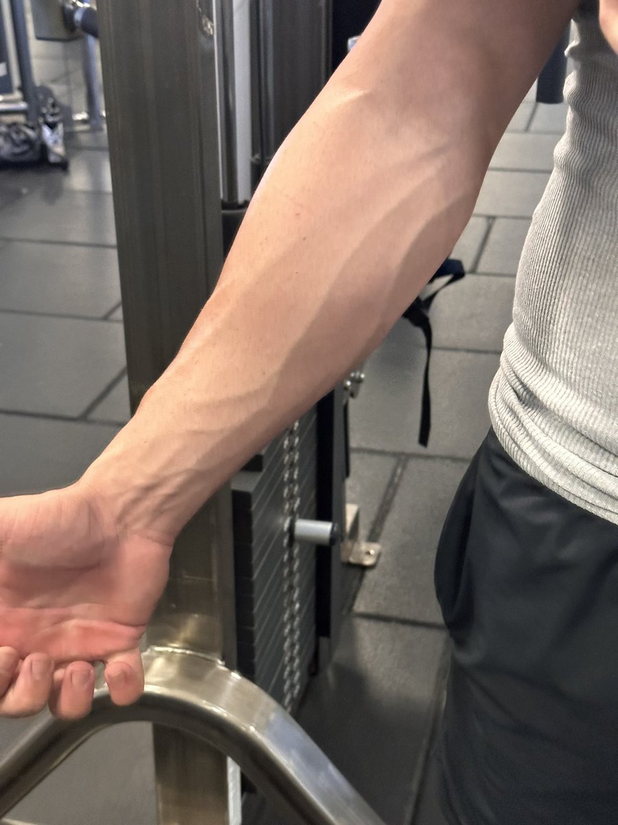veins popped today during my workout