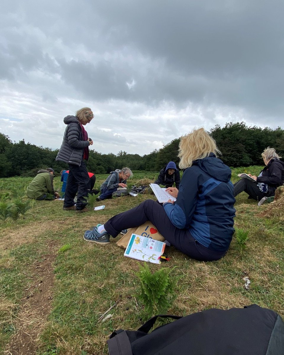We recently hosted two wildflower training sessions thanks to support from @WildFlowerSoc! 🌼 The workshops offered local groups and volunteers the opportunity to learn more about Somerset's wildflowers, and we are very grateful to all who took part! 💚 #Somerset #Wildflowers