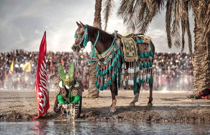 Aliya Zaidi tweet media