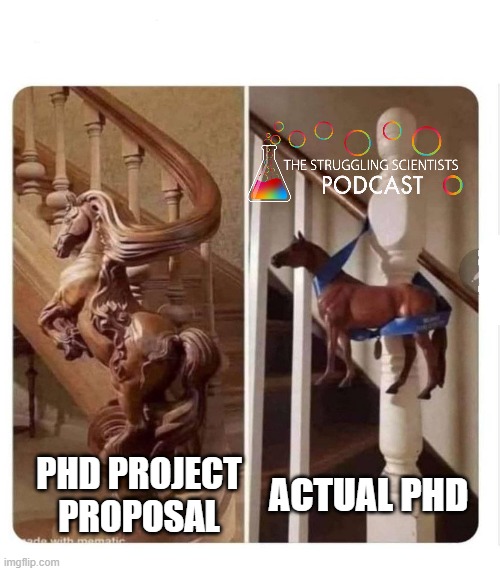 They're the same thing🤔