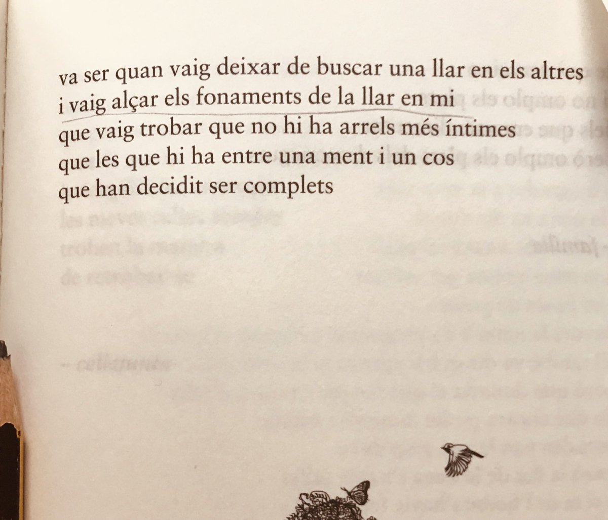 rupi kaur, el sol i les seves flors.
