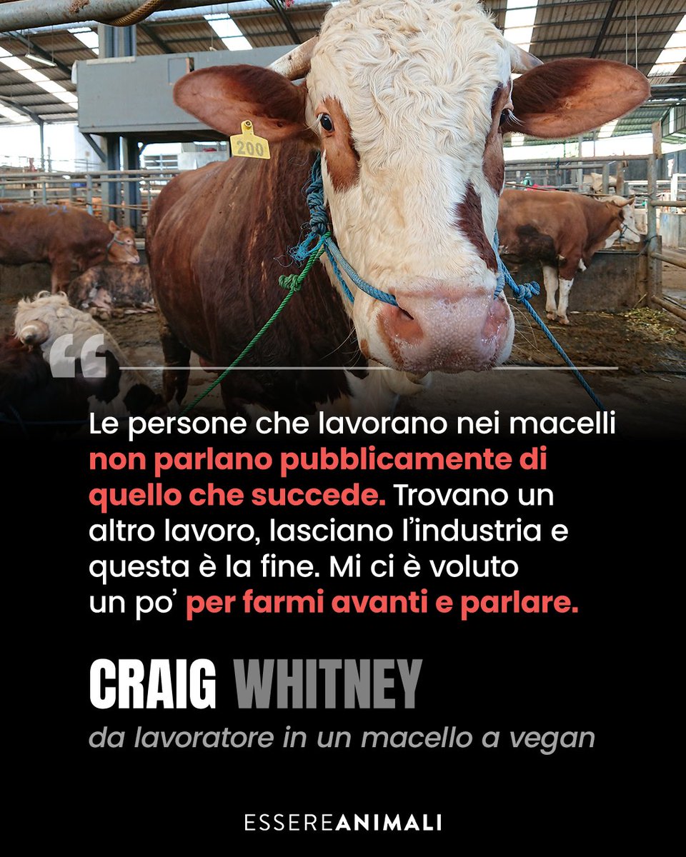 L'esperienza in un macello ha fatto aprire gli occhi a Craig Whitney, che sceglie di diventare vegan e raccontare la sua esperienza con un unico obiettivo: fare in modo che tutto ciò che ha visto non succeda mai più.

Scopri la sua storia 👉ioscelgoveg.it/da-macellaio-a…