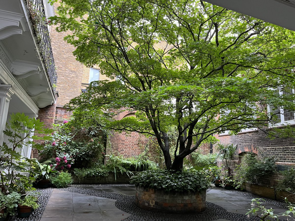OldEnglandTours's tweet photo. Always love doing my Secret Gardens tour. I often come here before meeting my guests for the day. Weirdly I don’t normally bring people here :-) Anyone guess where it is? https://t.co/WLRZzjDKmk  #London #tours #privatetours #walkingtours @cityoflondon https://t.co/w4iQBH9kdw