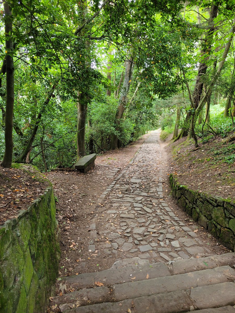 'In each step through nature one receives much more than what he is looking for.'  #JohnMuir
.
#nature #naturelovers #naturaleza   #natureza #photography #goodmorning #BuenosDias #bomdia #FelizJuevesATodos #Thursday #Arboles #trees #monteurgull #自然 #طبيعة
.