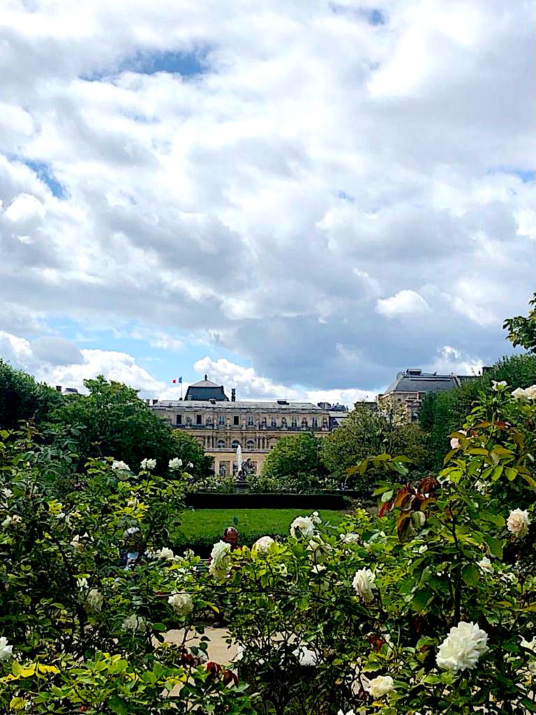 focusonparis's tweet photo. A summer garden: the gardens of the #palaisroyal bursting with #summer. #photography #floral #summerinparis #gardensofparis https://t.co/fVjudwvnHj https://t.co/AoUkQWE1Ca