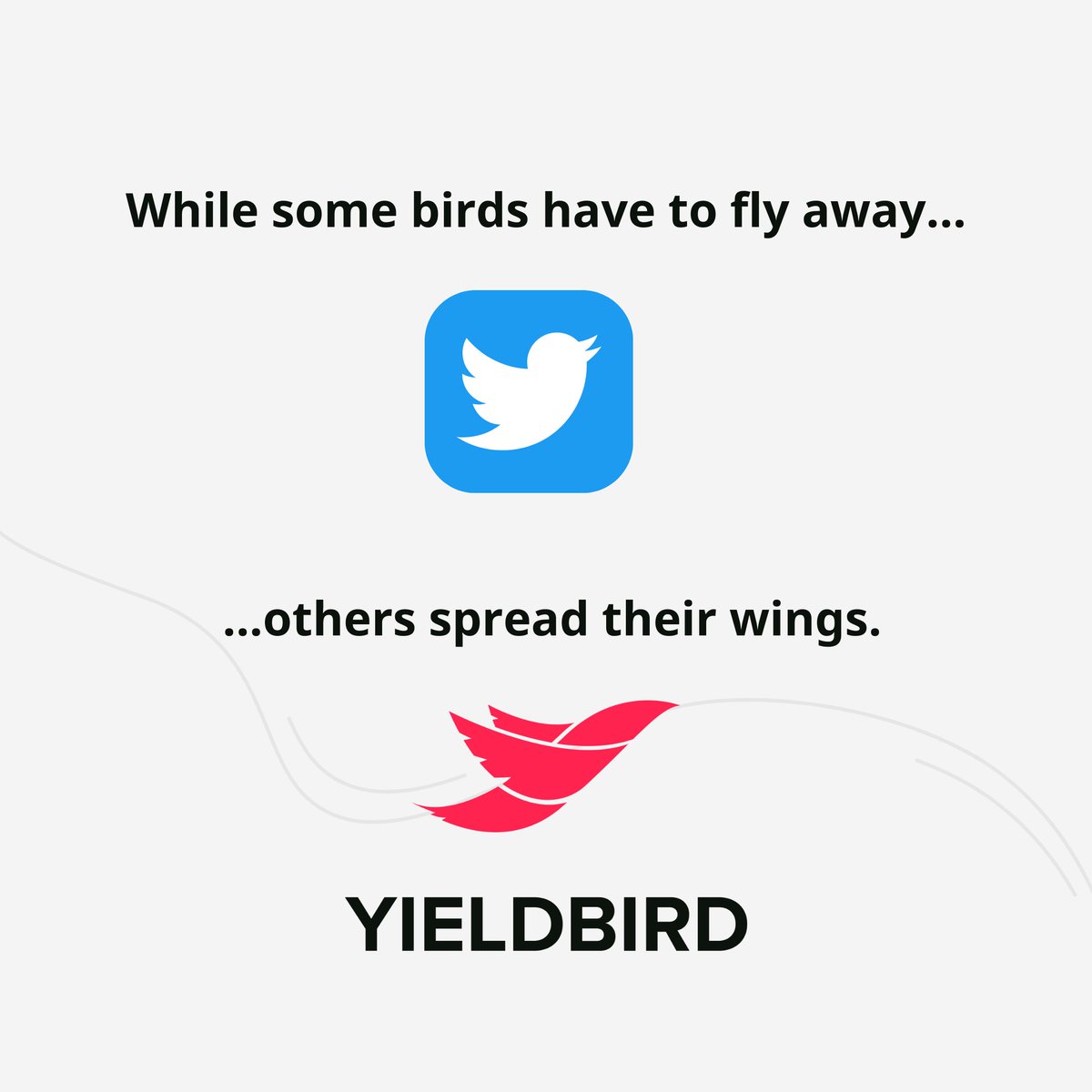 Yieldbird tweet media
